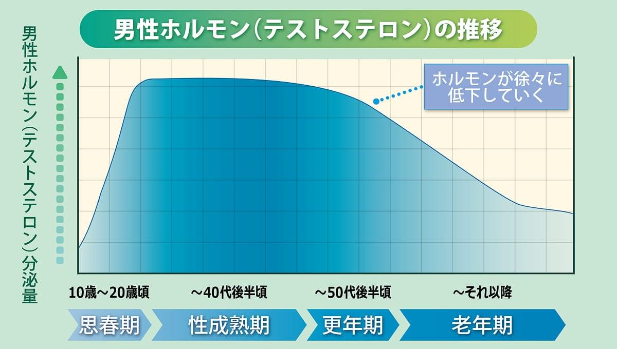 男性ホルモン(テストステロン)の推移