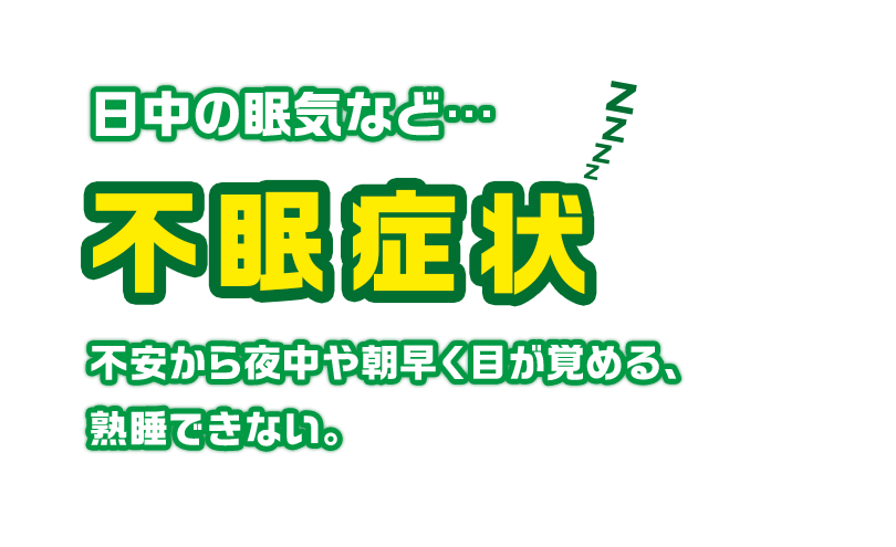 日中の眠気など…不眠症状 不安から夜中や朝早く目が覚める、熟睡できない。