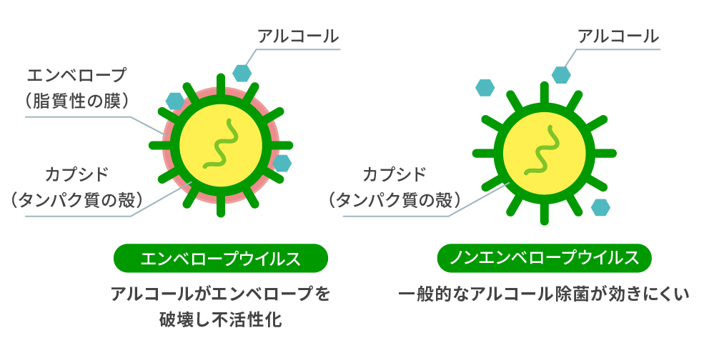 エンベロープウイルス アルコールがエンベロープを破壊し不活性化 ノンエンベロープウイルス 一般的なアルコール除菌が効きにくい