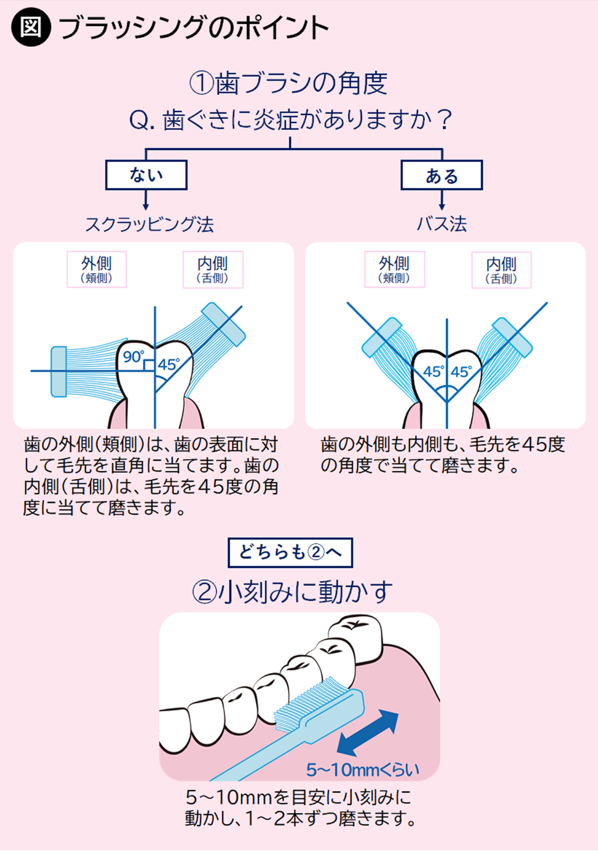 ブラッシングのポイント