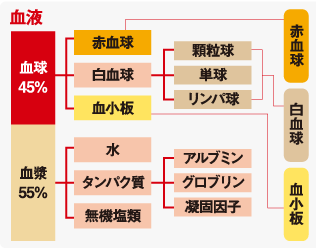 に に 血液 サラサラ は する