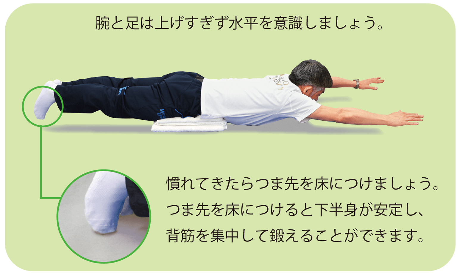 腰背部の筋肉を鍛える
