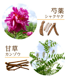 芍薬・甘草